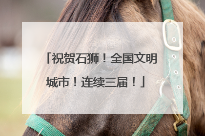 祝贺石狮!全国文明城市!连续三届!