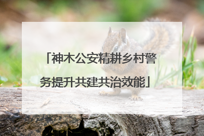神木公安精耕乡村警务提升共建共治效能