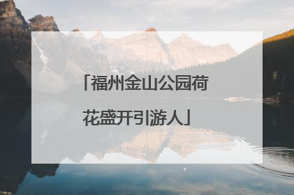 福州金山公园荷花盛开引游人