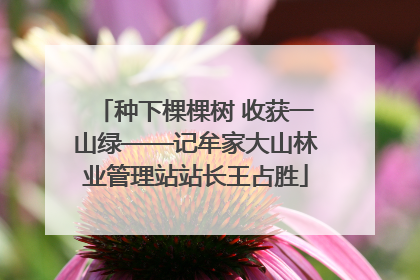 种下棵棵树 收获一山绿——记牟家大山林业管理站站长王占胜