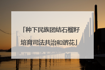 种下民族团结石榴籽 培育司法共治和谐花