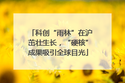 科创“雨林”在沪茁壮生长，“硬核”成果吸引全球目光