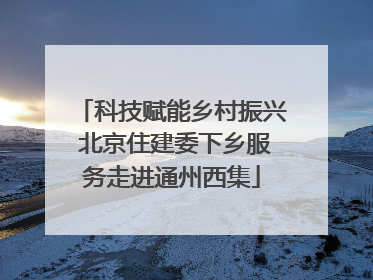 科技赋能乡村振兴 北京住建委下乡服务走进通州西集