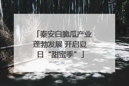 秦安白脆瓜产业蓬勃发展 开启夏日“甜蜜季”