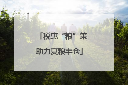 税惠“粮”策助力夏粮丰仓