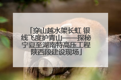 穿山越水架长虹 银线飞度护青山——探秘宁夏至湖南特高压工程陕西段建设现场
