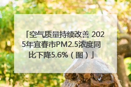 空气质量持续改善 2025年宜春市PM2.5浓度同比下降5.6%（图）