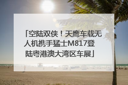 空陆双侠！天鹰车载无人机携手猛士M817登陆粤港澳大湾区车展