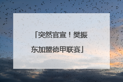 突然官宣！樊振东加盟德甲联赛