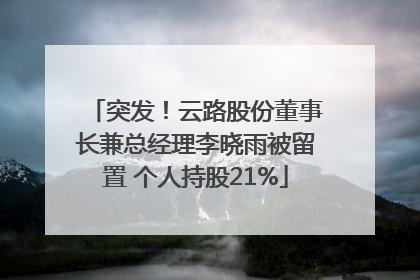 突发！云路股份董事长兼总经理李晓雨被留置 个人持股21%