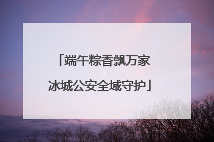 端午粽香飘万家 冰城公安全域守护