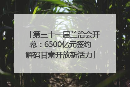 第三十一届兰洽会开幕：6500亿元签约解码甘肃开放新活力