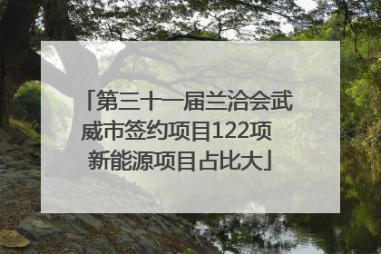 第三十一届兰洽会武威市签约项目122项 新能源项目占比大