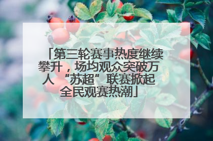 第三轮赛事热度继续攀升，场均观众突破万人 “苏超”联赛掀起全民观赛热潮