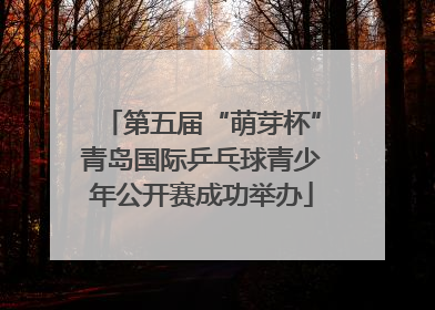 第五届“萌芽杯”青岛国际乒乓球青少年公开赛成功举办