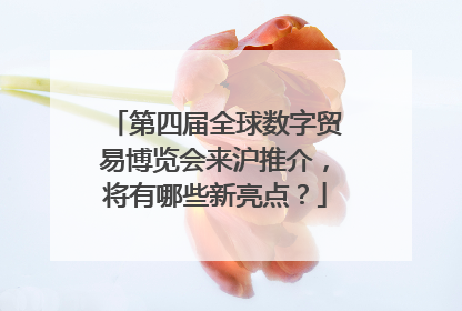 第四届全球数字贸易博览会来沪推介，将有哪些新亮点？