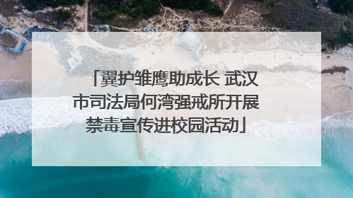 翼护雏鹰助成长 武汉市司法局何湾强戒所开展禁毒宣传进校园活动