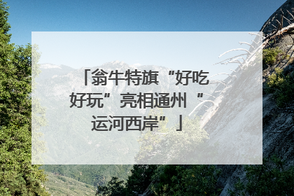 翁牛特旗“好吃好玩”亮相通州“运河西岸”