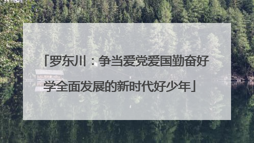 罗东川：争当爱党爱国勤奋好学全面发展的新时代好少年