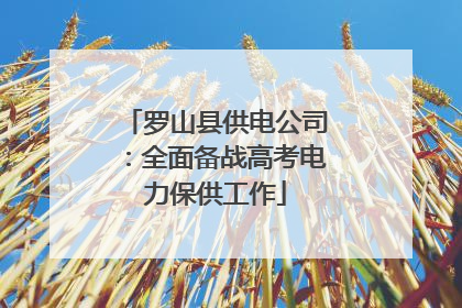 罗山县供电公司：全面备战高考电力保供工作