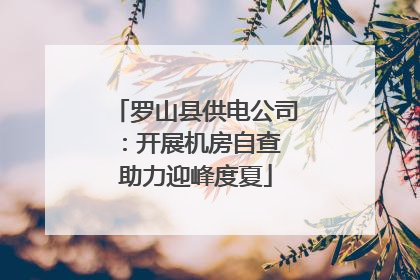 罗山县供电公司：开展机房自查 助力迎峰度夏
