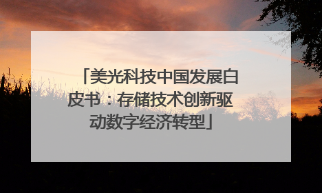 美光科技中国发展白皮书：存储技术创新驱动数字经济转型