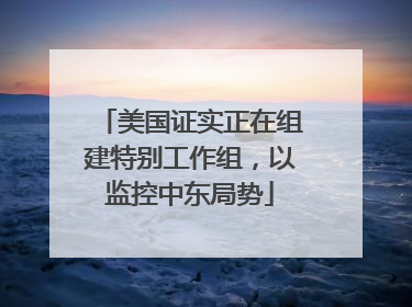 美国证实正在组建特别工作组，以监控中东局势