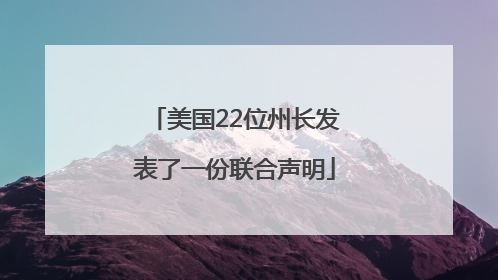 美国22位州长发表了一份联合声明