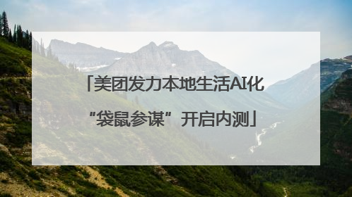 美团发力本地生活AI化 “袋鼠参谋”开启内测