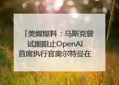 美媒爆料：马斯克曾试图阻止OpenAI首席执行官奥尔特曼在中东的AI交易
