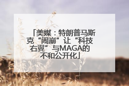 美媒：特朗普马斯克“闹崩”让“科技右翼”与MAGA的不和公开化