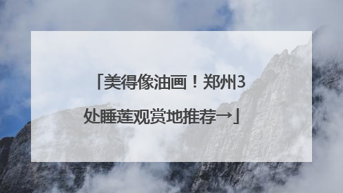 美得像油画！郑州3处睡莲观赏地推荐→