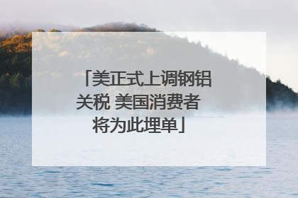 美正式上调钢铝关税 美国消费者将为此埋单