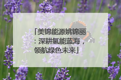 美锦能源姚锦丽：深耕氢能蓝海，领航绿色未来