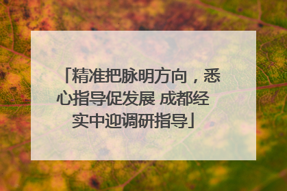 精准把脉明方向，悉心指导促发展 成都经实中迎调研指导
