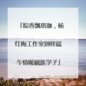 粽香飘珞珈，杨红梅工作室别样端午情暖藏族学子