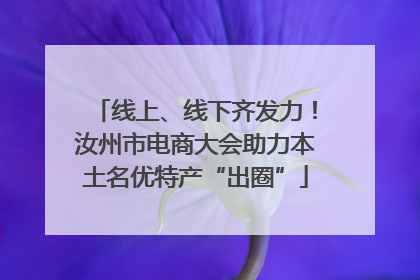 线上、线下齐发力！汝州市电商大会助力本土名优特产“出圈”