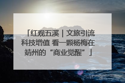 红观五溪｜文旅引流 科技增值 看一颗杨梅在靖州的“商业觉醒”