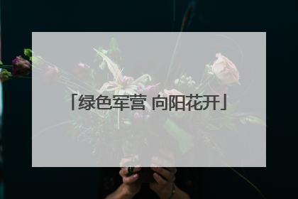绿色军营 向阳花开