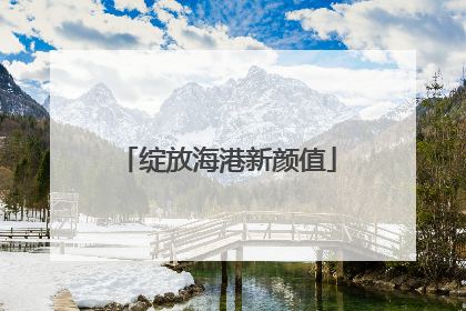 绽放海港新颜值