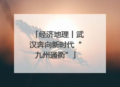 经济地理丨武汉奔向新时代“九州通衢”