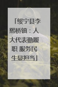 绥宁县李熙桥镇：人大代表勤履职 服务民生显担当