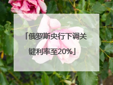 俄罗斯央行下调关键利率至20%