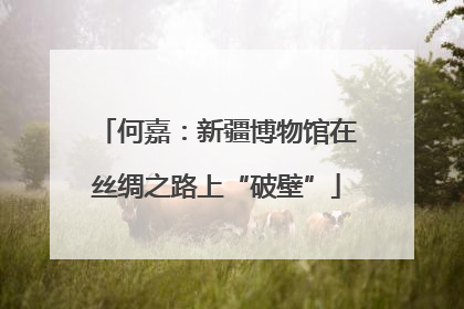 何嘉：新疆博物馆在丝绸之路上“破壁”