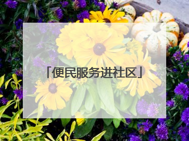 便民服务进社区