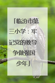 临汾市第三小学：牢记党的教导 争做强国少年