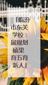 临汾市东关学校：展规划硕果 育五育新人