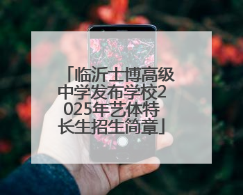 临沂士博高级中学发布学校2025年艺体特长生招生简章