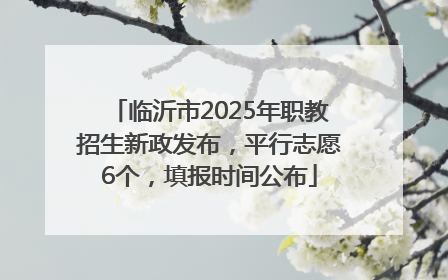 临沂市2025年职教招生新政发布，平行志愿6个，填报时间公布