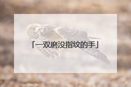 一双磨没指纹的手